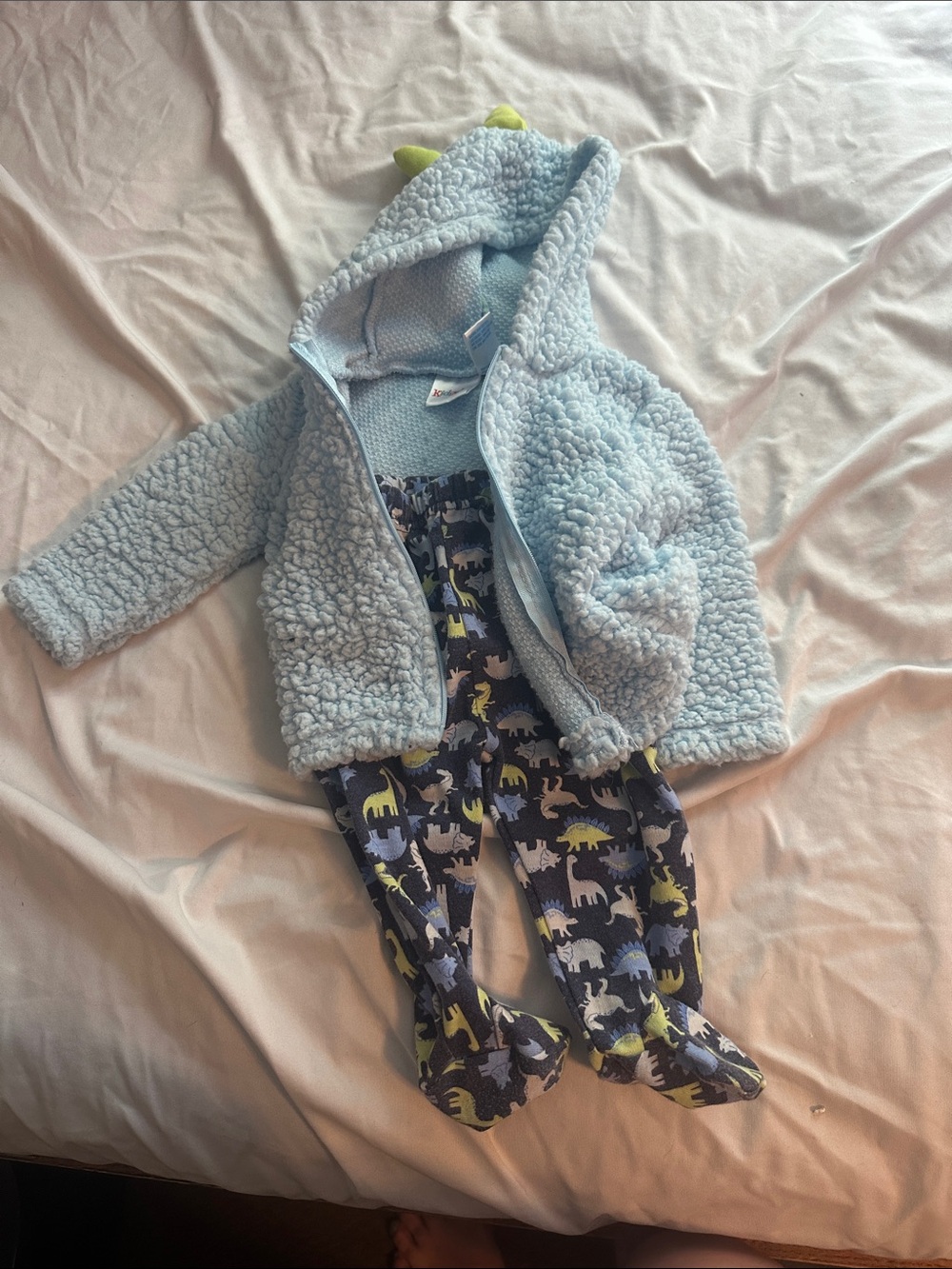 Boys dinosaur outfit